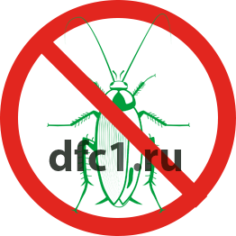 Уничтожение тараканов в Бугульме