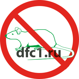 Уничтожение крыс в Бугульме